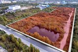 Продажа земельного участка 7,8 га под производство, склад, логистический центр