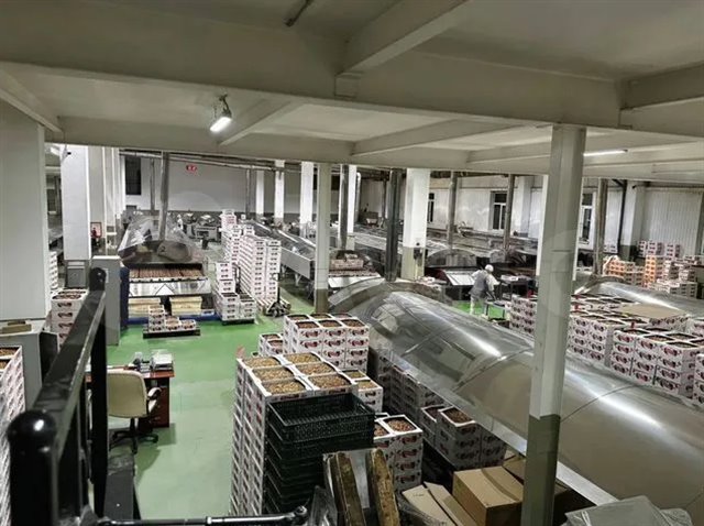 Аренда помещения под пищевое производство от 4000 м² до 7000 м² в центре города